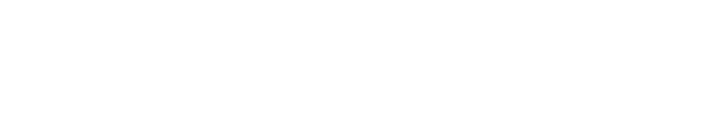 Lionel Galvan | SALES, RETAIL OPERATIONS & EVENT EXPERT